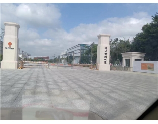 南方科技大学甲醛治理项目