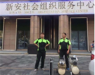 深圳宝安区新安办事处除甲醛项目